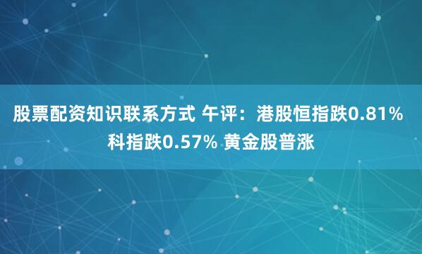 股票配资知识联系方式 午评：港股恒指跌0.81% 科指跌0.57% 黄金股普涨