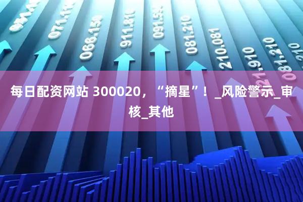 每日配资网站 300020，“摘星”！_风险警示_审核_其他
