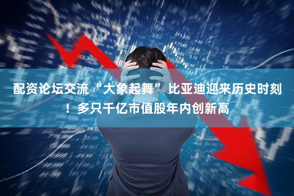 配资论坛交流 “大象起舞” 比亚迪迎来历史时刻！多只千亿市值股年内创新高